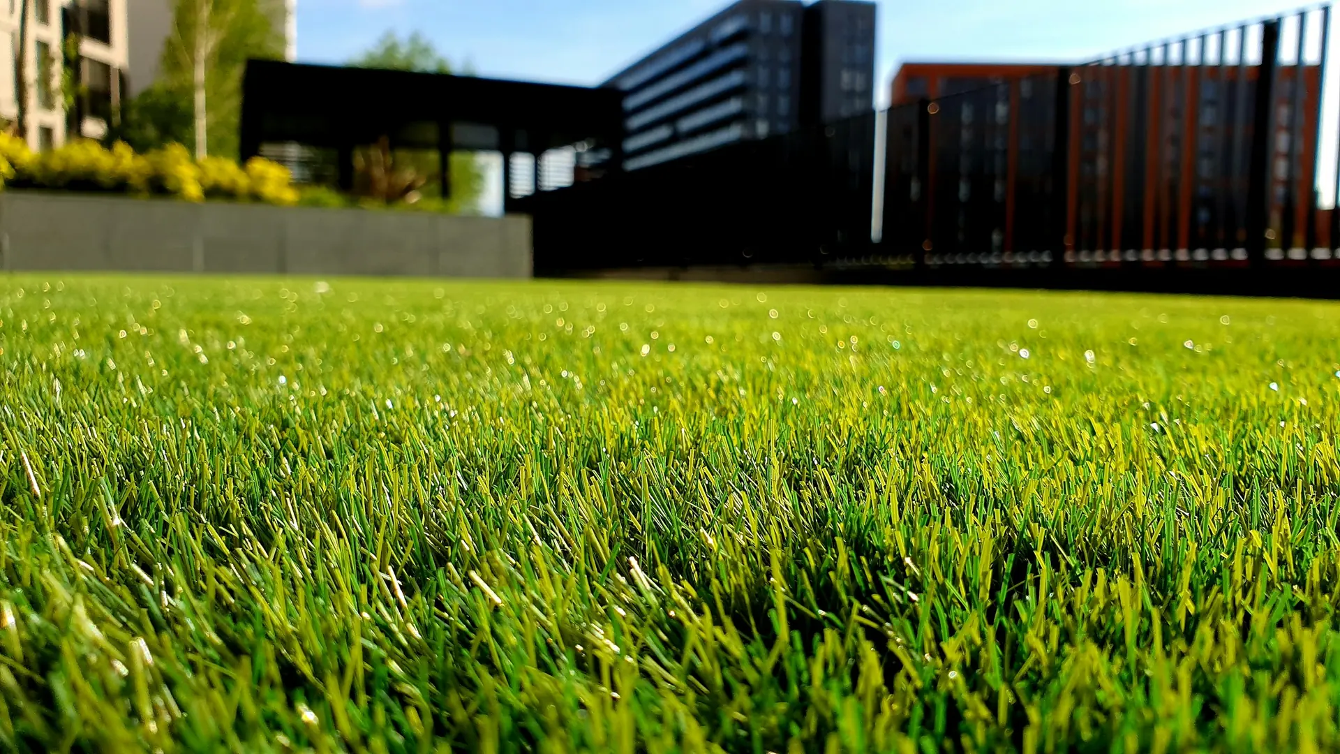 Frisch gemähter Rasen vor einem modernen Gebäude - Garten- und Arealpflege von Künzler